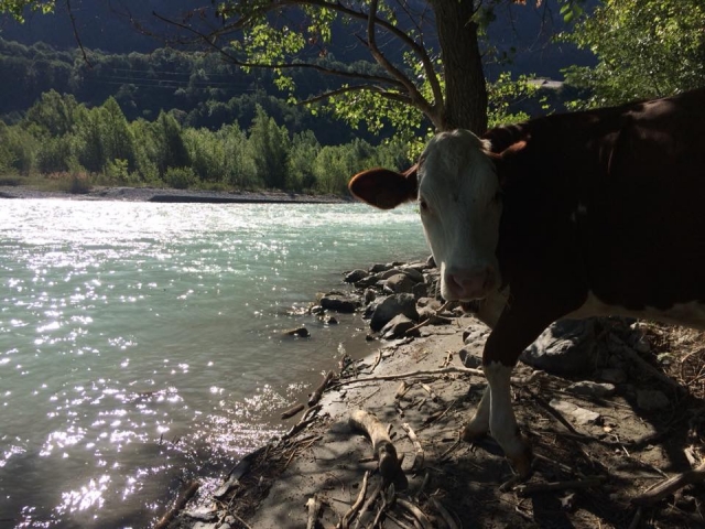 Ambiente naturale la Durance 
