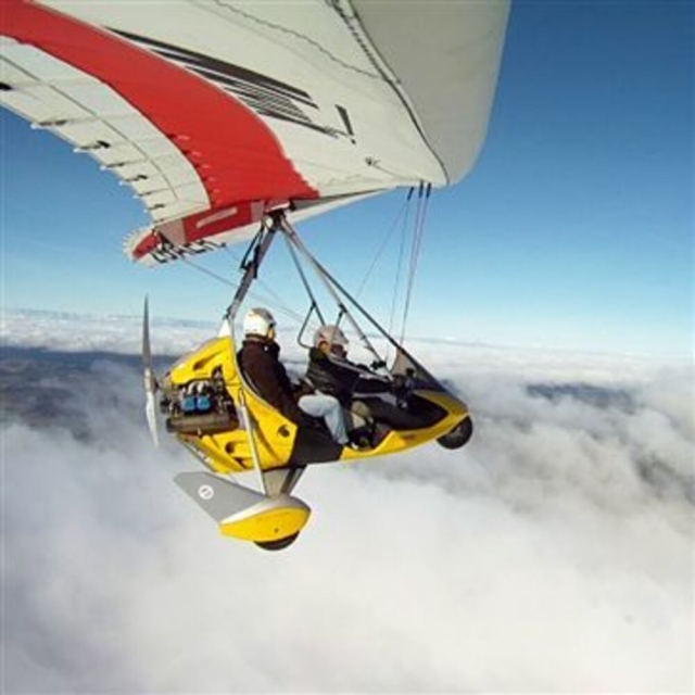  Pendular microlight 