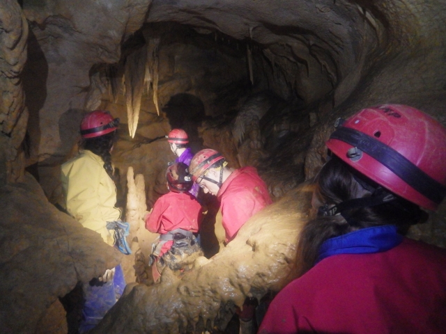  Discovery of group caving
