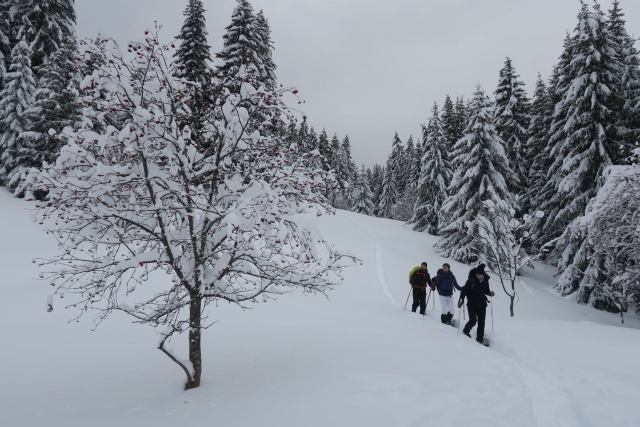  Caminhadas em sapatos de neve em Avoriaz 