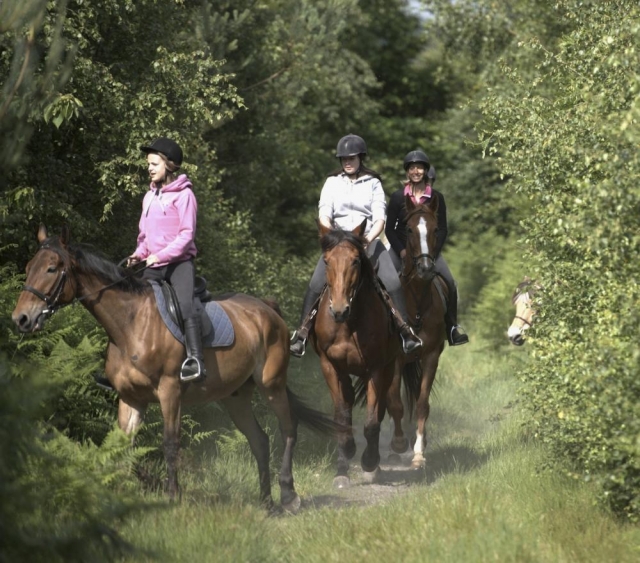  Passeggiata a cavallo di gruppo