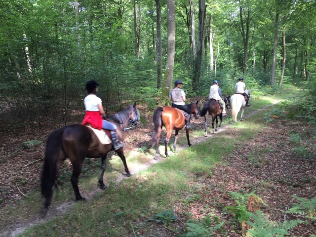  Partenza alla scoperta della foresta 