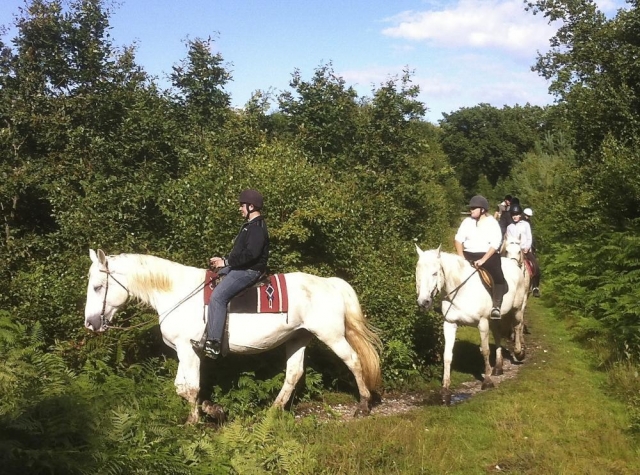  Scoperta della foresta di Brotonne a cavallo 