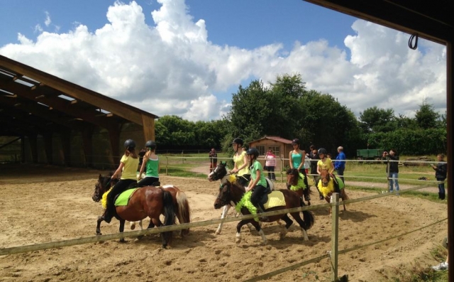  Attività sui pony 