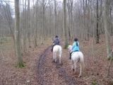 Horseback ride - Brotonne Forest 2H