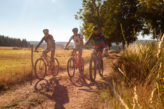  Paseo en BTT en grupo 