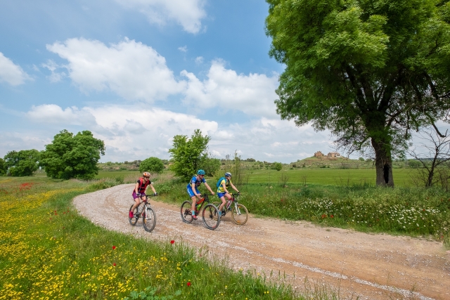  Escapada en bicicleta de montaña en Provenza 