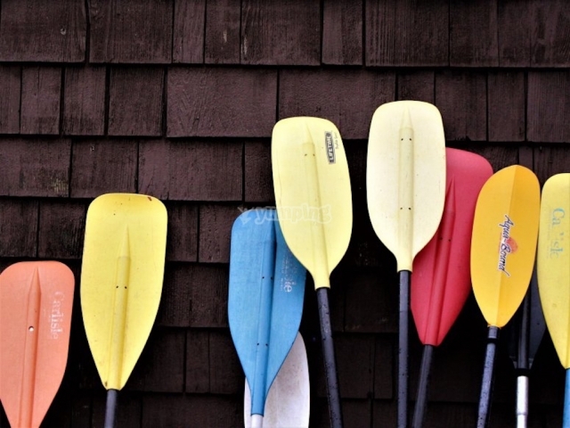  Paddles