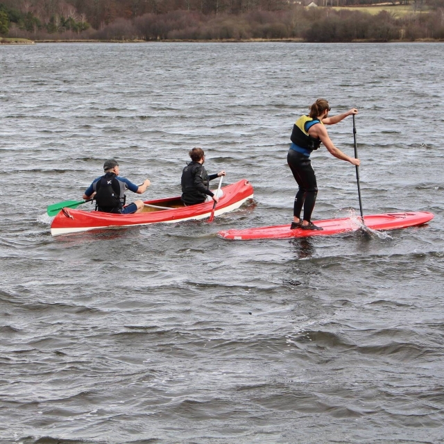  Stand Up Paddle 