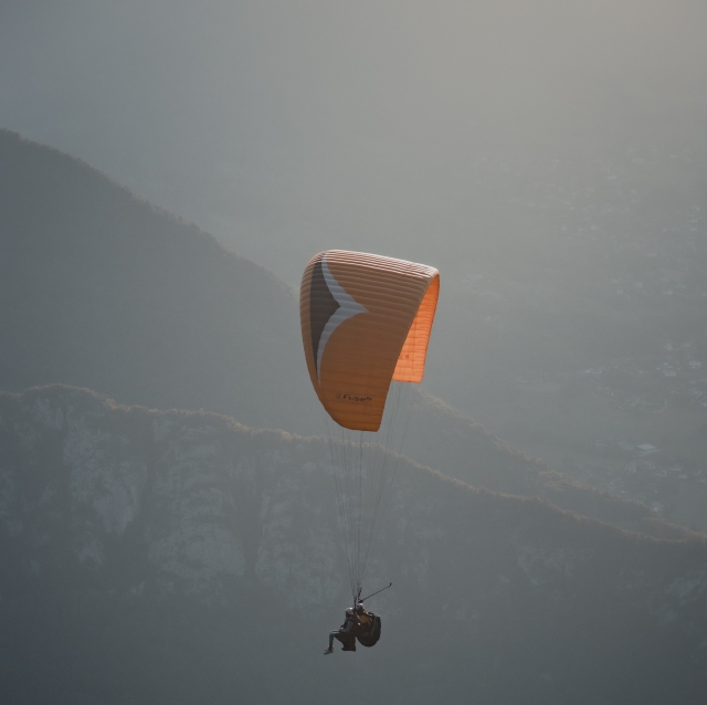  In the middle of the fog