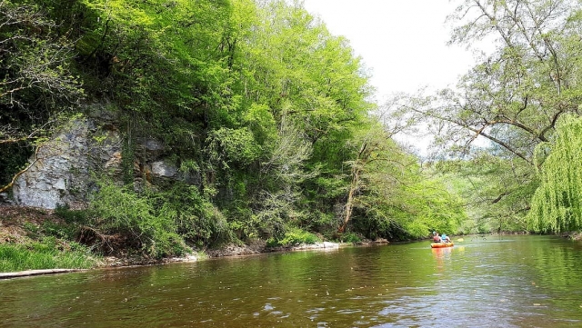 Kayak à La Cure