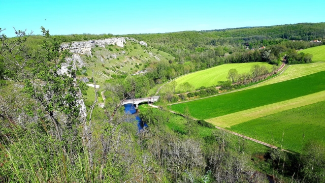  Vista unica