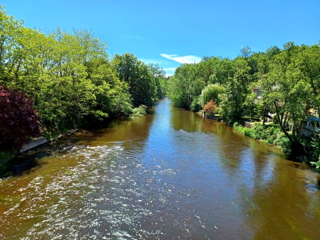  Der Fluss La Cure 