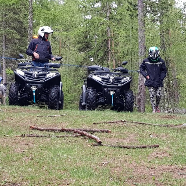 Activité ludique