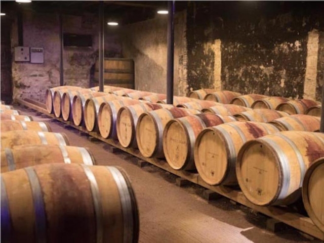  Visit to cellars 