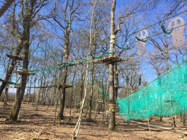  Course accessible to all 