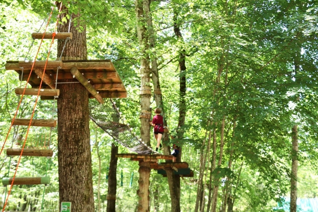  Treetop treetop course 