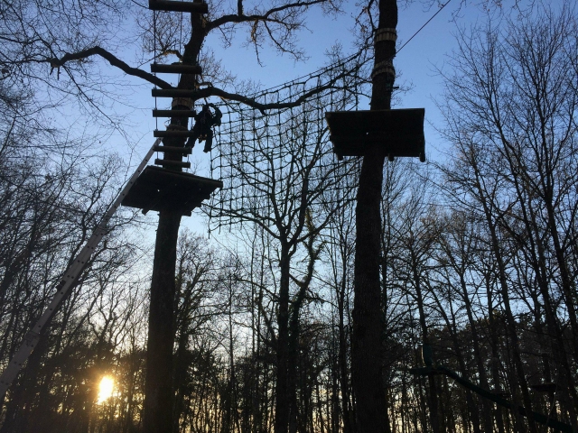  Evening treetop adventure course 