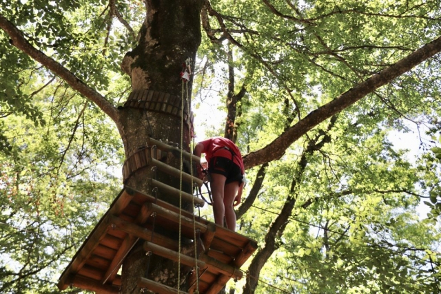 Arrampicata sugli alberi 