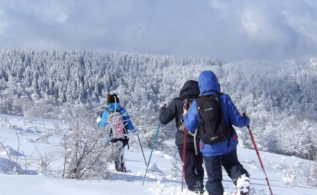  Wandern mit Schneeschuhen 