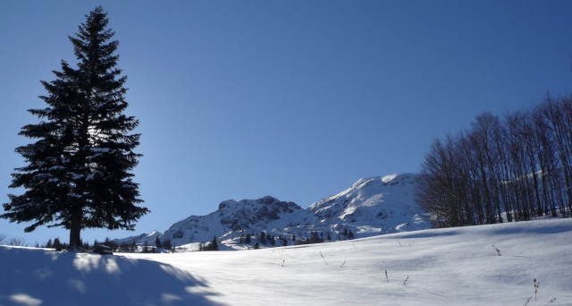  Expanses covered in white 