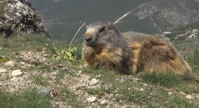  In Ariège 