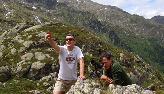  Observation of species of the Pyrenees 