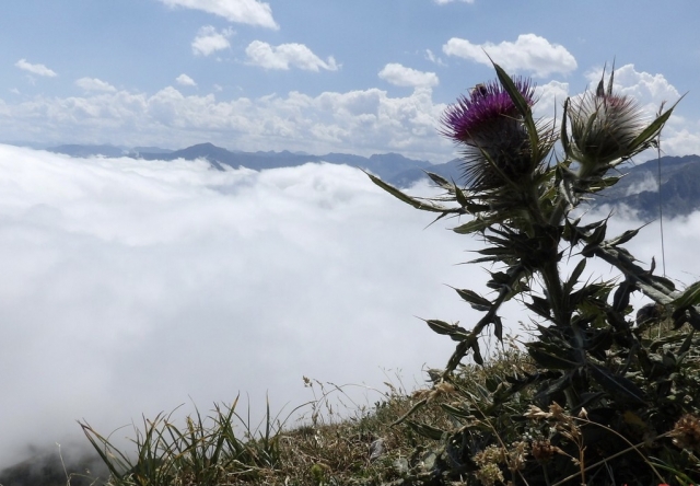  Caminata en los Pirineos 