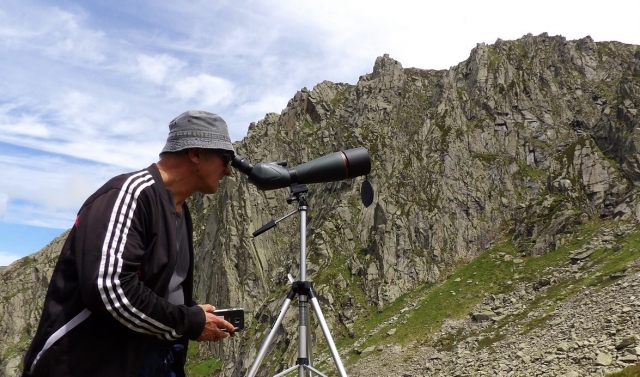  Herramientas de observación 