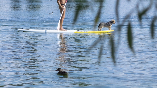  Stand Up Paddle for everyone 