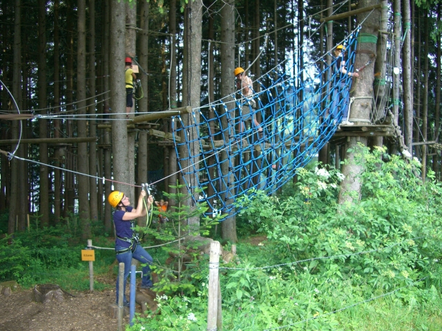 The satisfaction of tree climbing 