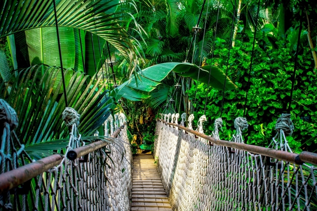  Nature at height 