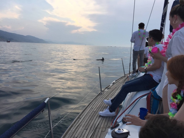 海浪的欣赏