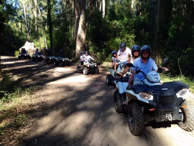 Two-seater Quad hike at Ruppione Beach - 2H