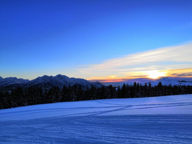 Die Alpen 
