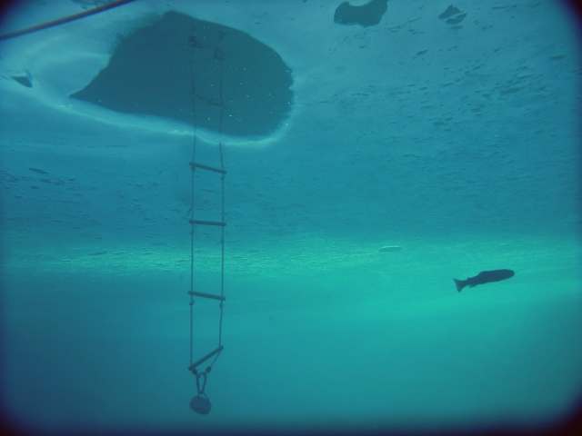  Buca di sicurezza nel lago ghiacciato 
