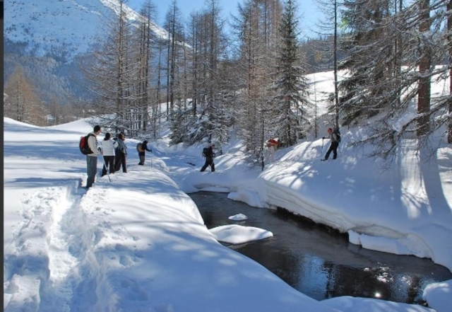  Os participantes que admiram essa neve de qualidade 