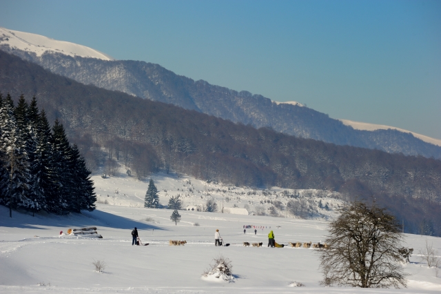  Nelle Alpi