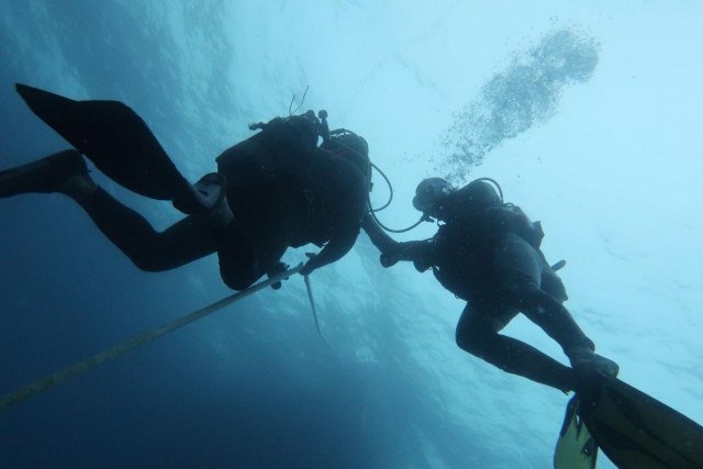  Immersioni assistite dall'istruttore 