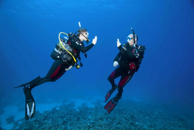 Esplorazione della costa di Barcarès in profondità 