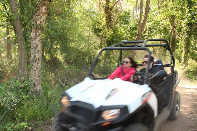  Velocità e adrenalina in buggy 