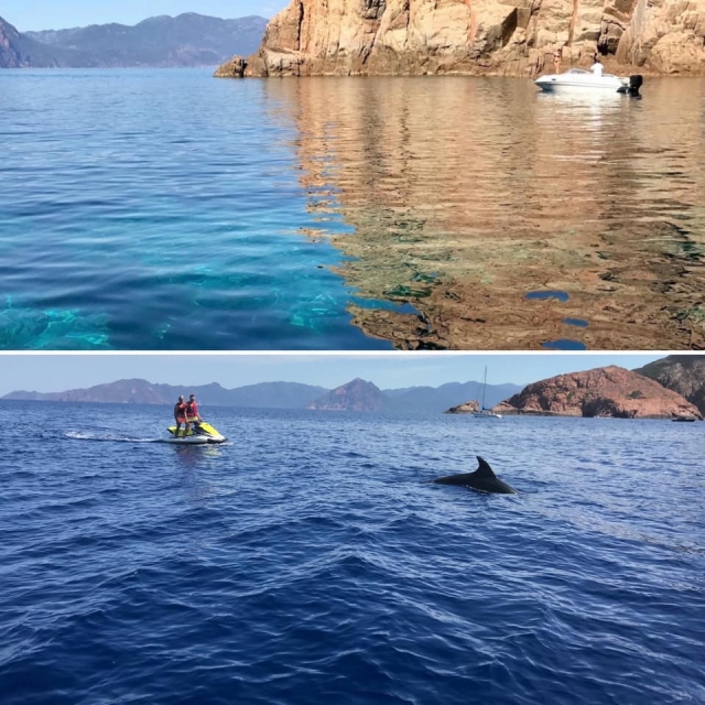  Una sorpresa sulle rive di Capo Rosso 