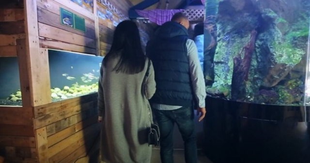  Aquarium visit 