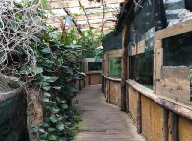  摩泽尔水族馆亚马逊 
