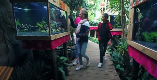  儿童水族馆入口 