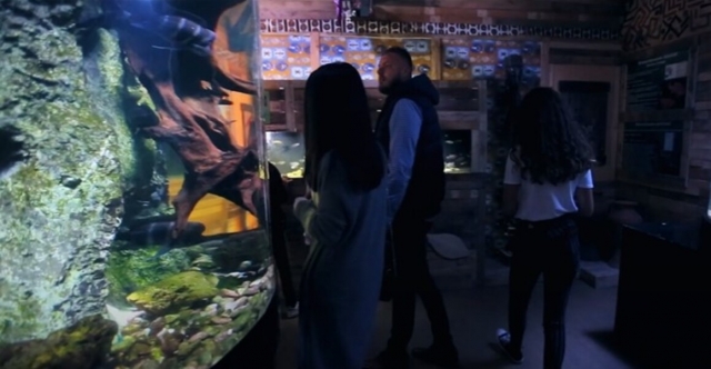  与全家人一起参观水族馆 
