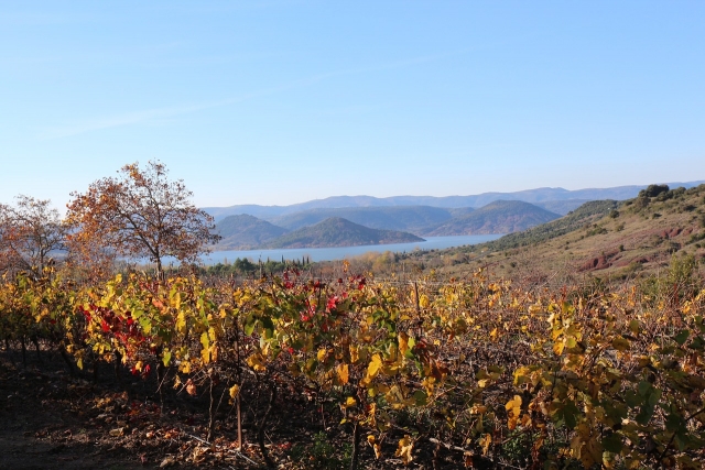  View of Lake Salagou 