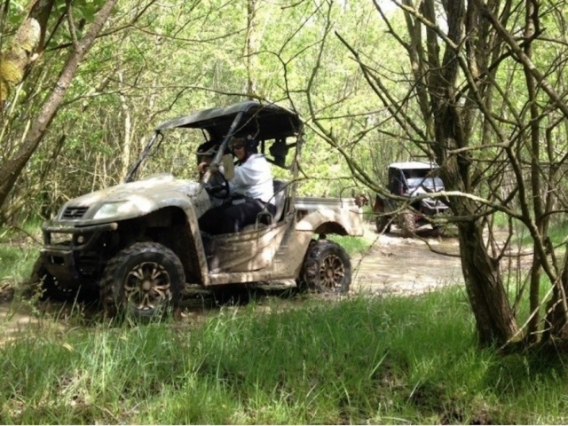  Tour im Wald im Buggy 