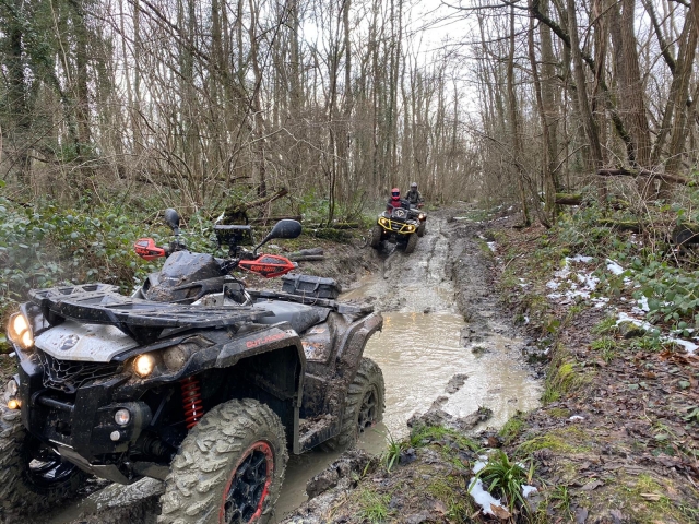  Powerful quads in the middle of the woods