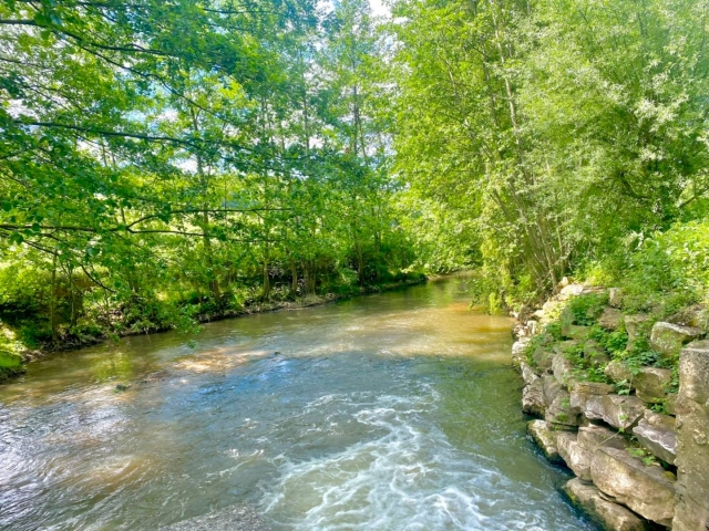  Il fiume Petit Morin